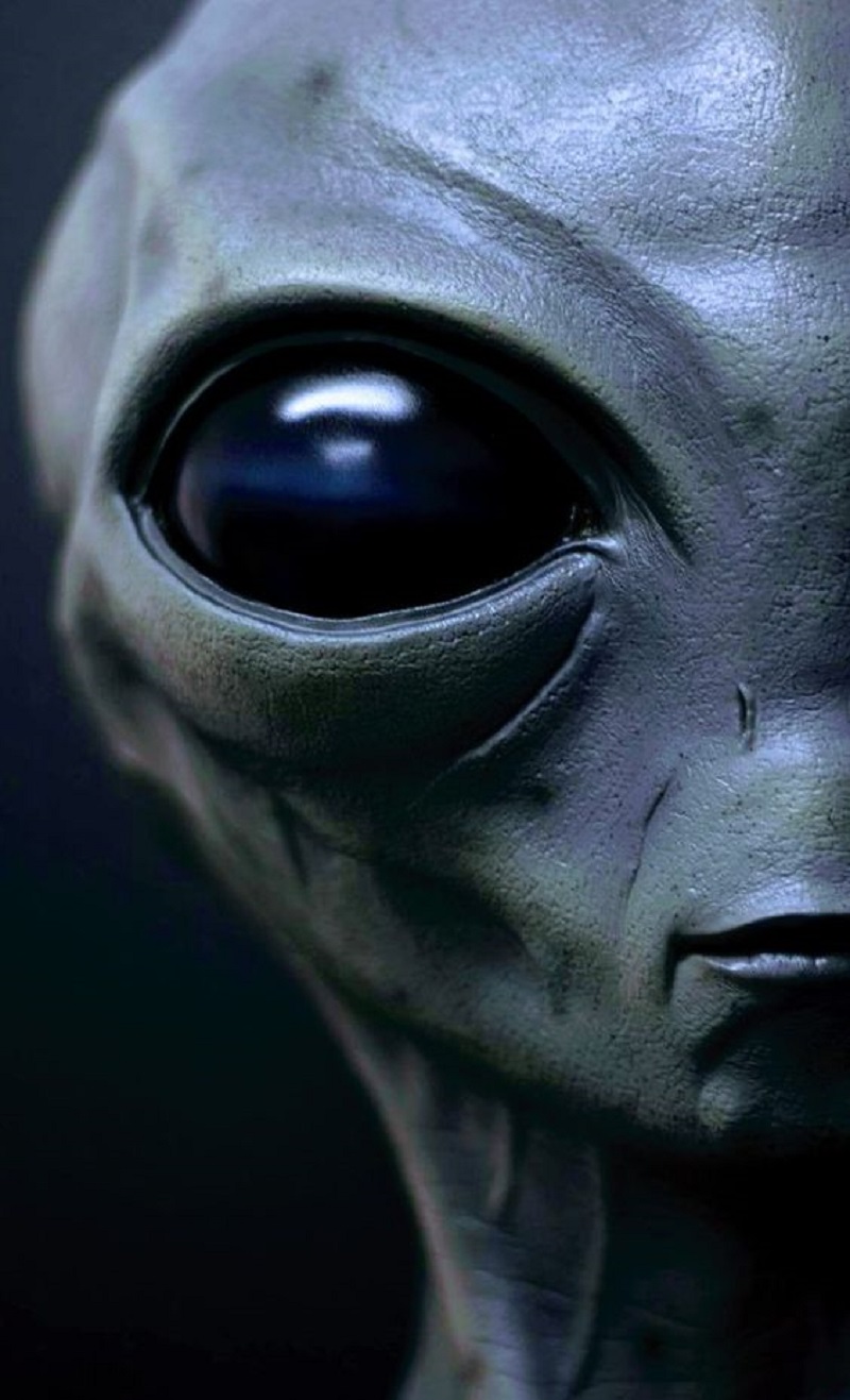 Alien Fashion: Do ETs Have Clothing and Accessories?